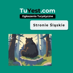 Stronie Śląskie - A Town Surrounded by Mountains and Opportunities